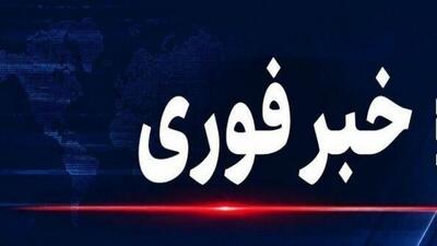  سوءقصد به جان یک شهروند در ایرانشهر/ توضیح فرماندار