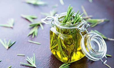  خواص روغن رزماری چیست؟ │ از کمک به رشد مو تا فواید احتمالی برای پوست و نکاتی که قبل از مصرف باید بدانید