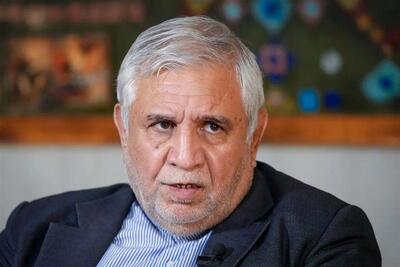  آمریکا و رژیم صهیونیستی در حال طراحی سناریوهایی از جنس کودتای دی هستند - تسنیم