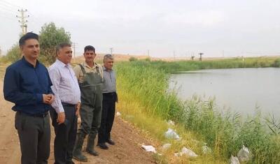  پایش مزارع پرورش ماهی قصرشیرین برای پیشگیری از بیماری‌های ویروسی