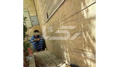  راز جنون ۲ برادر در قتل‌عام خانوادگی پونک؛ پزشکی قانونی چه گفت؟ | آخرین خبر