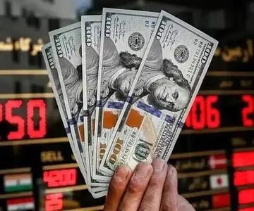  دستور جدید بانک مرکزی برای دلار؛ فقط آبی باشد!
