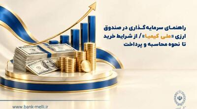  راهنمای سرمایه‌گذاری در صندوق ارزی «ملی کیمیا» / از شرایط خرید تا نحوه محاسبه و‌ پرداخت - مردم سالاری آنلاین