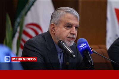  صالحی امیری: معرفی ایران وظیفه یک دستگاه نیست
