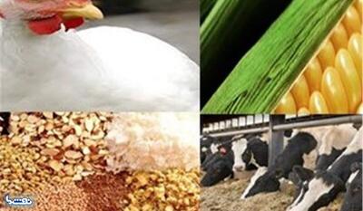  ذخایر نهاده دامی و محصولات پروتئینی در شرایط مناسبی قرار دارد | نفت ما