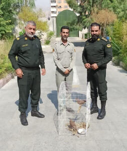  کشف دو بهله دلیجه کوچک در یک منزل مسکونی در کازرون