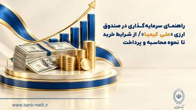 راهنمای سرمایه‌گذاری در صندوق ارزی «ملی کیمیا» / از شرایط خرید تا نحوه محاسبه و‌ پرداخت