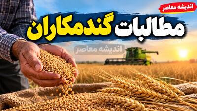  پرداخت مطالبات گندمکاران در آبان ۱۴۰۵؛ آخرین خبر از واریز باقی‌مانده پول گندم