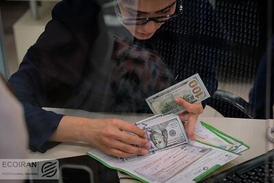 تأمین مالی گران؛ آزمون جریان نقد بنگاه‌ها