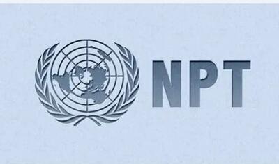  خروج ایران از NPT پاس گل به آمریکاست/ هیچ تضمینی نیست که دولت خارج‌شونده از پیامدهای سیاسی، اقتصادی و حتی اقدامات سخت مصون بماند/ بعید نیست چین و روسیه هم به صف مقابل ایران بپیوندند
