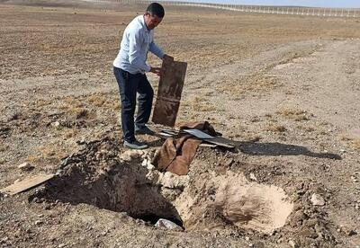  دستگیری دو زنده‌گیر پرندگان شکاری در پلدشت با همکاری مرزبانی