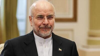  قالیباف: روباه، کاندیدای نگهبانی از مرغ‌ها می‌شود
