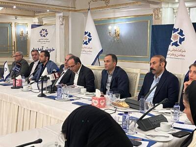 دلایل اقبال بورس به سهام «تجلی» | چرخش راهبردی از فولاد به سمت مس، طلا و عناصر نادر خاکی