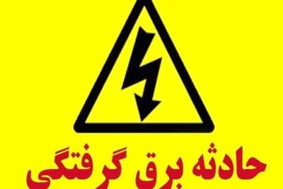  برق‌گرفتگی حین گردوتکانی در نهاوند قربانی گرفت