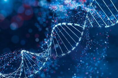  مصرف ۳۰ درصد کالری کمتر، جهش‌های DNA را در موش‌ها کاهش داد