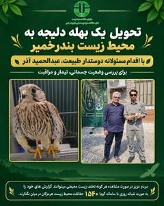  تحویل یک بهله پرنده شکاری دلیجه به محیط‌زیست بندرخمیر
