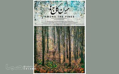  «میان کاج‌ها» آماده نمایش و پخش شد | مجموعه رسانه ای صبا