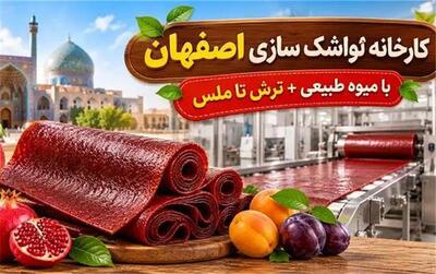  کارخانه لواشک سازی اصفهان: با میوه طبیعی + ترش تا ملس
