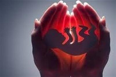 تولدهای طرح مقابله با سقط جنین عمدی از 21هزار تولد عبور کرد - تسنیم