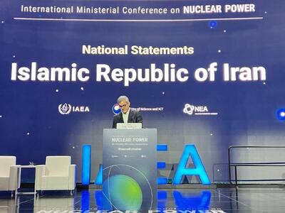  معاون سازمان انرژی اتمی: آژانس باید نهادی مستقل، فنی و توسعه محور باشد