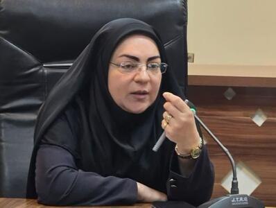  حمایت از مشاغل خانگی زنان و خانواده‌های دارای معلول در دستور کار استانداری تهران