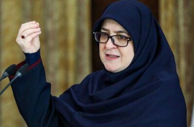  فیلم/ توضیحات سخنگوی دولت در خصوص نشست امنیتی تهران