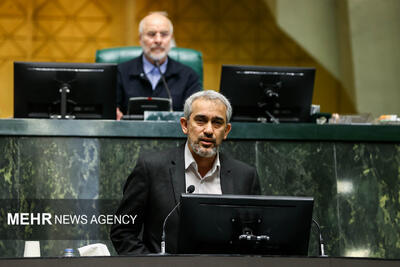  مدنی زاده: آمار و ارقام تورم و گرانی را به‌صورت روزانه رصد می‌کنیم