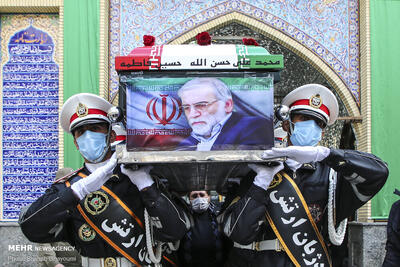  راز پیشرفت علمی فخری‌زاده در نبوغ فردی خلاصه نمی‌شد