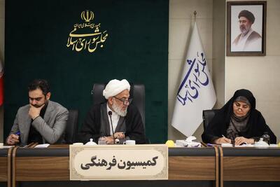  اصلاح آئین‌نامه قانون جوانی جمعیت در دستور کار