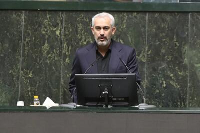  مدنی‌زاده: اقتصاد ایران فرونپاشیده و نخواهد پاشید / تورم را زیر ۲۰ درصد می‌رسانیم + فیلم