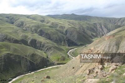  بازگشت حیات‌وحش به زیستگاه‌های طبیعی؛ از فلامینگو تا عقاب تالابی - تسنیم