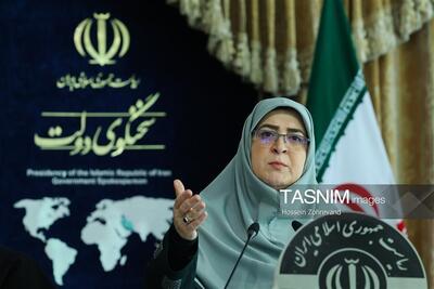  سخنگوی دولت: دهک‌ها توسط سازمان مالیاتی و وزارت تعاون شناسایی می‌شود - تسنیم