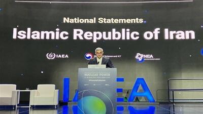  آژانس بین‌المللی انرژی اتمی، نهادی مستقل، فنی و توسعه محور باشد