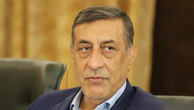  دکتر قائم‌پناه: اجرای طرح پزشک خانواده تکلیف قانونی دولت است،نباید متوقف شود