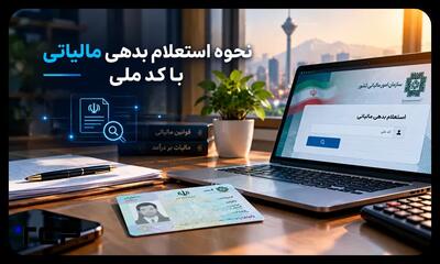  امکان استعلام برخط بدهی مالیاتی اشخاص برای قضات فراهم شد - همدلی