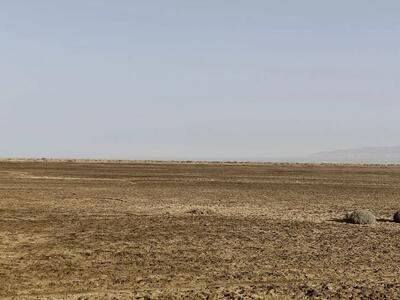  تشدید کانون‌‌های گردوغبار در پی خشک شدن تالاب بندعلیخان