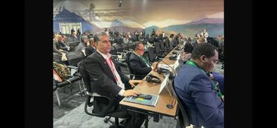  دسترسی عادلانه به منابع مالی و فناوری، لازمه تحقق اهداف جهانی تنوع زیستی است