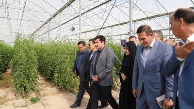  ⁨ اختصاص اعتبارات مالیات بر ارزش افزوده برای حمایت از کسب‌وکارهای روستایی