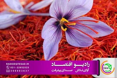  افت ۴۰ درصدی صادرات زعفران ایران؛ افزایش ۴ تا ۵ برابری هزینه حمل‌ونقل هوایی