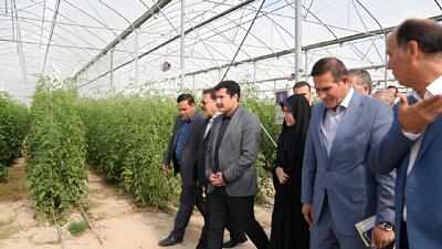  تأکید دولت بر اشتغال پایدار و ماندگاری جمعیت در روستاها