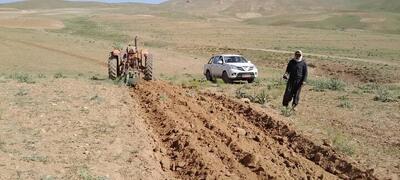  محکومیت قضایی متخلف تخریب پوشش گیاهی و اراضی ملی در منطقه حفاظت‌شده نشر همدان