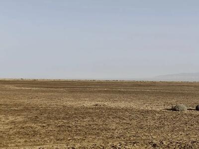  تشدید کانون‌های گردوغبار در پی خشک شدن تالاب بندعلیخان