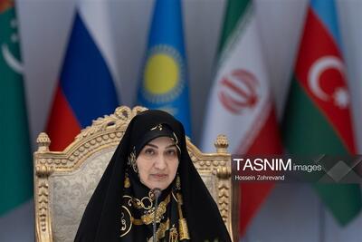  رفیعی: افزایش تعداد نمایندگان ضروری است / طرح مجلس برای افزایش کرسی‌ها - تسنیم