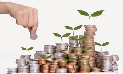  افشای اطلاعات مهم در «سلیم» و«شفام»؛ اقدام برای اعتراض به رأی بدوی پرونده سنواتی «وایران»