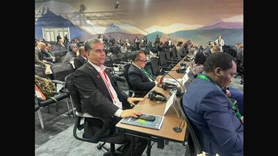  تحقق اهداف تنوع زیستی نیازمند دسترسی عادلانه به منابع مالی است