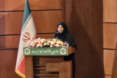  انصاری: 154 محیط‌بان شهید و 374 محیط‌بان جانباز و مصدوم داریم - تسنیم