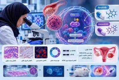  امید تازه پژوهشگران برای هدف‌گیری مسیر مولکولی مقاومت سرطان تخمدان به شیمی‌درمانی