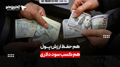 سپرده‌گذاری در صندوق جدید ارزی  بانک ملی  چه قدر منطقی است؟ | آخرین خبر
