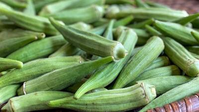  بامیه در رژیم لاغری واقعاً چه نقشی دارد؟ از کالری کم تا فیبر و هضم بهتر