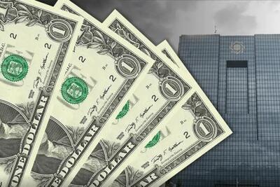  تصمیم جدید بانک مرکزی برای ارز واردات